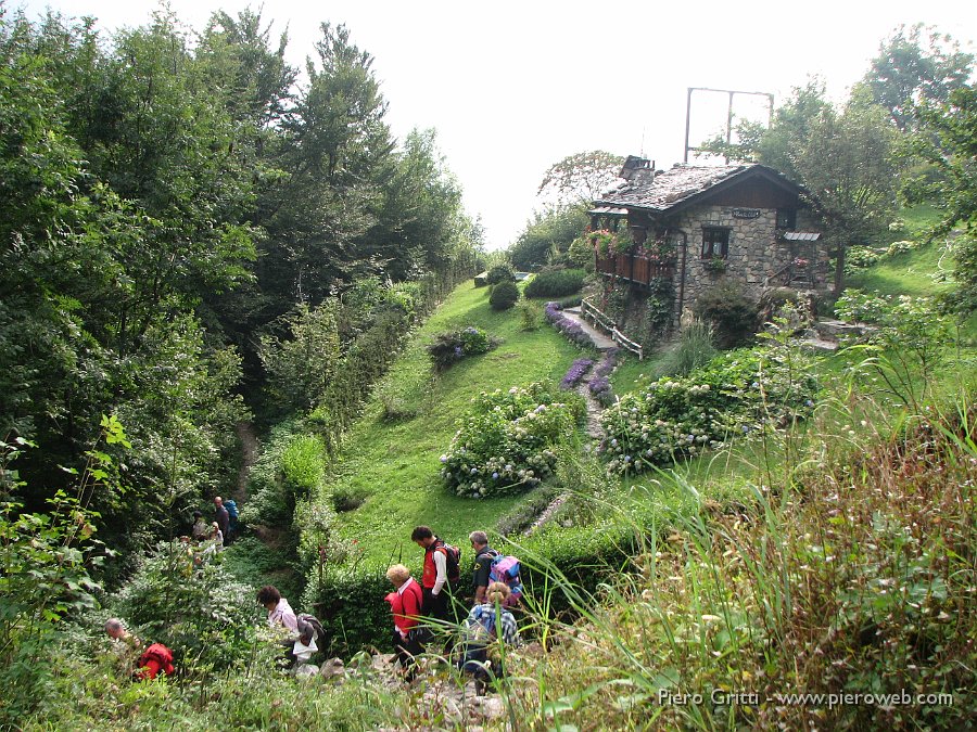 maslnaa-curo 200.jpg - Scendiamo verso Valbondione, passando accanto alla Baita Clef, nel verde del prato e nei colori di tanti fiori